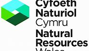 Natural Resources Wales / Cadair Idris National Nature Reserve, near Dolgellau