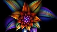 Drunvalo Melchizedek Flower Of Life Full Documentary Sacred Geometry Meaning