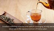 Prickly Pear Cactus Tea Benefits (with Scientific Evidence) - Best Cactus Guide