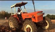 Girl on tractor | Viviana driving & plowing FIAT 1000 DT Super - Open pipe sound