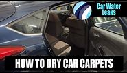 How To Dry Carpets In A Wet Car