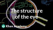 The structure of the eye | Processing the Environment | MCAT | Khan Academy