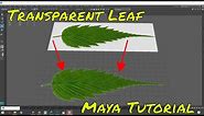 Transparent Leaf [Maya Tutorial] | Rees3D.com