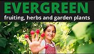 Evergreen Herbs, Fruiting Trees & Garden Plants in Zone 7