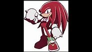 Sonic Riders - Knuckles The Echidna Voice Sound