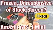 Amazfit GTS 4 Mini: Frozen, Stuck or Unresponsive Screen? Can't Restart? Easy Fix!