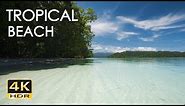4K HDR Tropical Beach - Gentle Ocean Wave Sounds - Peaceful Wild Island - Relaxing Nature Video