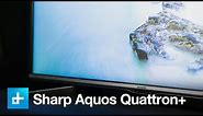 Sharp LC-60UQ17U Aquos Quattron+ video review