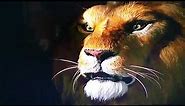 Jumanji - Lion Roar Compilation (1995)