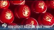 How Cricket Balls Are Made (1956) | British Pathé