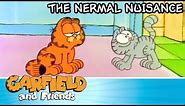The Nermal Nuisance - Garfield & Friends