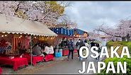 【4K】Cherry Blossoms in Osaka 2022 | From Sakuranomiya Park to Kyobashi