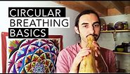 Circular Breathing Basics for Didgeridoo: Bounce Breathing