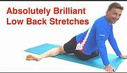 The Best Low Back Stretches | Lower Back Pain Relief Routine (With FREE Exercise Sheet!)