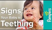 Baby Teething Symptoms, Signs & Timeline | Pampers Teething Tips