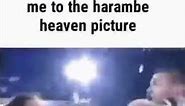 me when i die and find it out nobody photoshopped me in the harambe heaven meme