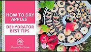 How to Dry Apples in a Dehydrator