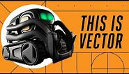 Vector: Anki’s tiny robot that wants to hang