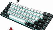 Snpurdiri 60% Wired Mechanical Gaming Keyboard, Ice Blue LED Backlit 61 Keys Mini Wired Office Keyboard for Windows Laptop PC Mac (Black-White, Red Switches)