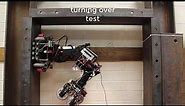 Steel Bridge Inspection Robot