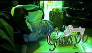 Guapo - Change Lanes / goyard (OFFICIAL MUSIC VIDEO)