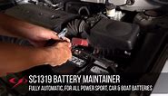 Schumacher Electric Schumacher Automotive 6-Volt/12-Volt 1.5-Amp Battery Maintainer with Auto Voltage Detection and Quick-Connect Harness SC1319