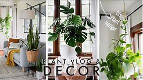 Summer Decorate With Me | Minimalist Plant Decor | Living Room Plant Styling | Plant Vlog