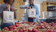 New York Apples - New York apple orchards have it all -...