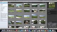 Iphoto Tutorial : How to BackUp iPhoto 11