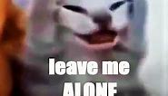 Leave Me Alone (Akira Meme) cat version