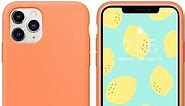IceSword iPhone 11 Pro Max Case Orange, Thin Liquid Silicone Case, Soft Silk Microfiber Cloth, Matte Pure Orange, Gel Rubber Full Body, Cool Protective Shockproof Cover 6.5" iP11PM - Orange