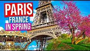 PARIS - FRANCE City Tour [Spring] | Paris in Springtime