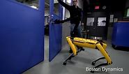 Machine beats man - Watch Boston Dynamics' robot dog conquer puny human