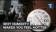 Why Humidity Makes You Feel Hotter
