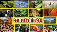 2.2 GB 4K Resolution Wallpapers Pack |3840 x 2160 Pixels or 4096 x 2160|Photosop tutorials | Part 1