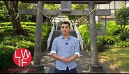 Japan: Where Gods Aren't Gods and Worshipers Aren't Religious (Shinto Explained)