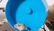 Silent Spinner Hamster Wheel 8.5 Inch, Super Quiet Hedgehog Exercise Wheel, Small Animal Exercise Wheelsl for Hamsters, Gerbils, Mice, Small Pet