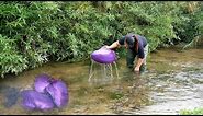 Amazing purple clams appear in the river, and the girl discovers a huge treasure trove of pearls