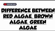 Difference between Red Algae, Brown Algae, Green Algae || Easy Explanation || ScienceByDeeba