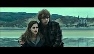 Harry Potter and the Deahtly Hallows part 1 - Dobby's death (HD)
