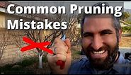 AVOID These 7 Common Tree Pruning Mistakes! | Winter Prune Your Fruit Trees With Confidence