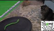 Snake Cat Toy Review: /w Game Vine
