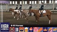4-H Horses – Fair 2023