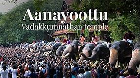 Aanayoottu - The Annual Ceremony to Honour Elephants | Kerala Tourism