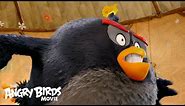 The Angry Birds Movie - Meet Bomb