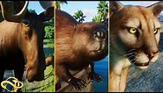 Animal Showcase! All The New North America Pack Animals! | Planet Zoo North America Pack