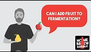 How to use fruit in home brew beer and cider - how to add fruit to primary fermentation.