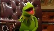 Kermit the Frog Goes Crazy!
