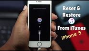 How to Reset iPhone 5s and FULLY Restore from iTunes | iPhone 5s/5c/5 DFU Mode fixallproblem