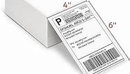 Genuine 4x6 Direct Thermal Shipping Label (Pack of 500 Fan-Fold Labels), Nelko 4x6 Thermal Labels for Nelko PL70E Shipping Label Printer, Perforated and Strong Adhesive, Commercial Grade